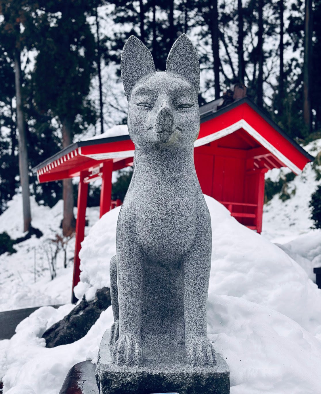 CONNECTING TO THE MOUNTAINS IN WINTER — YAMABUSHIDO